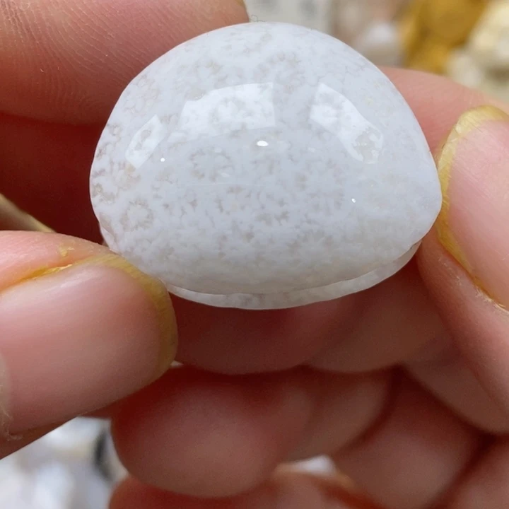 颈饰未镶嵌硅化珊瑚（珊瑚玉）有瑕