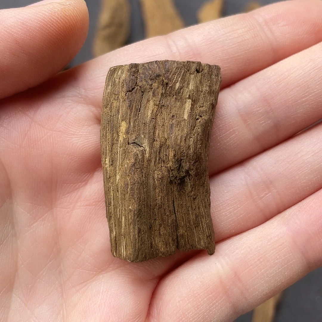 沉香碎屑沉香富森红土3.3gFO-01