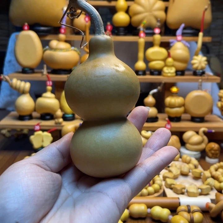 宝***儿天然葫芦自然生长