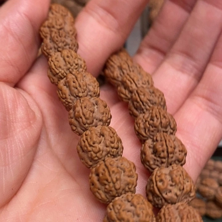 菩提赵*林花王小金刚