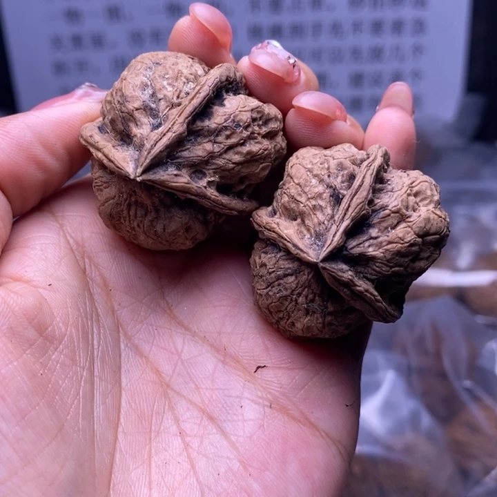 核桃云南野生铁核桃34号36mm
