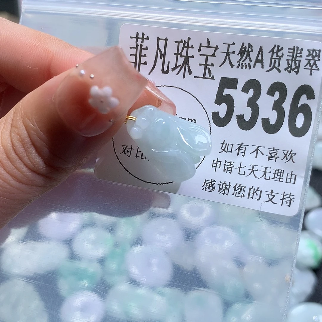翡翠未镶嵌颈饰，