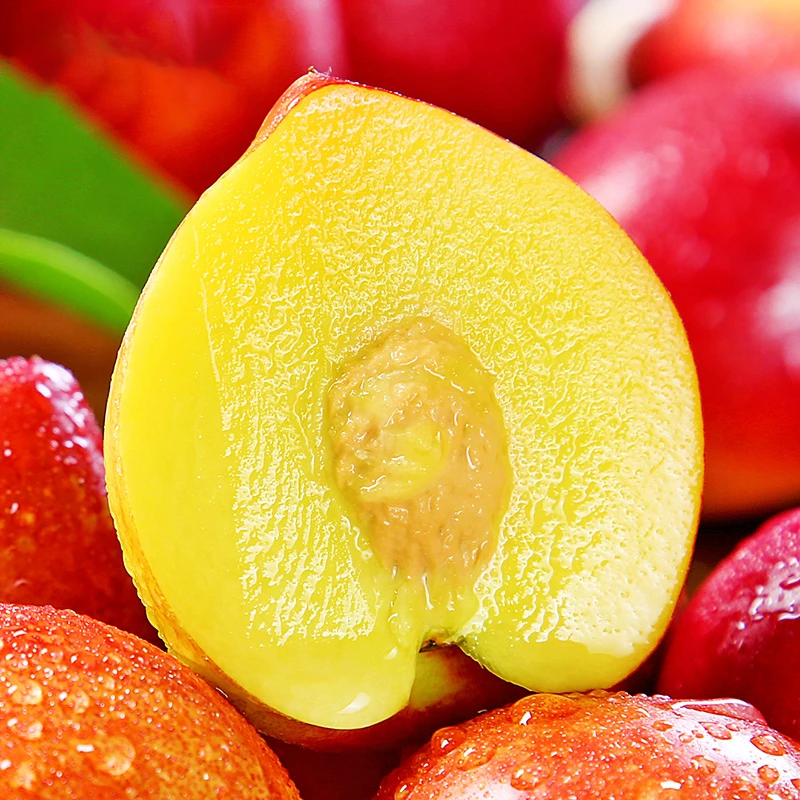 【好鲜市集】山东红皮黄肉油桃新鲜水果桃子油桃黄心油桃产地直发