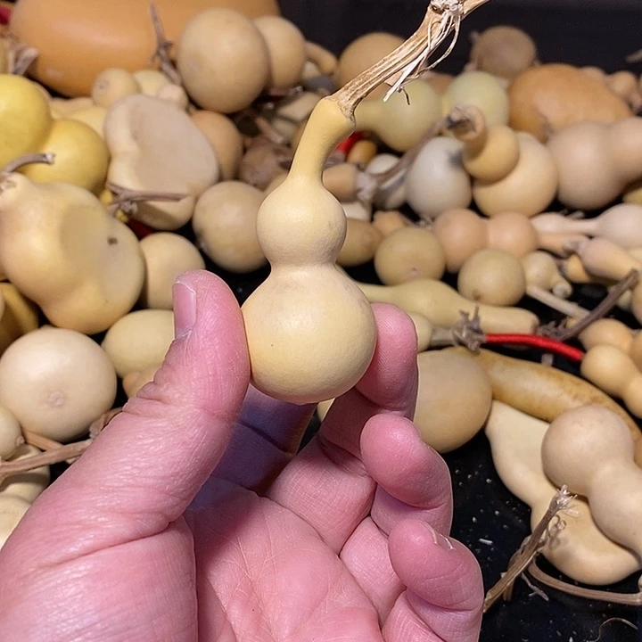阳**宠精品葫芦手把葫芦87