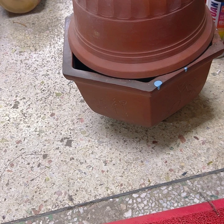 阿*。。。。。。?。。。。。