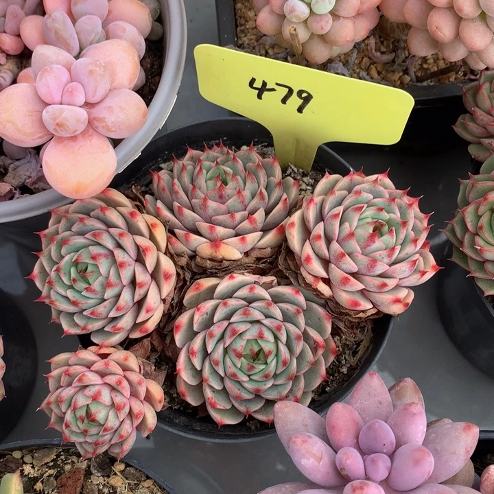 多替自己误737373737