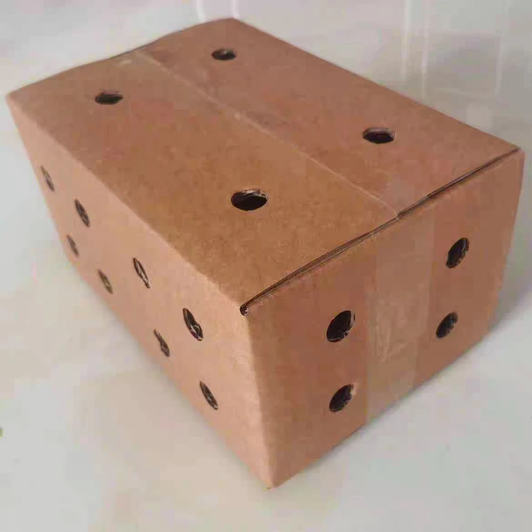 透气保温活禽快递箱  家用创意简约可折叠阳台