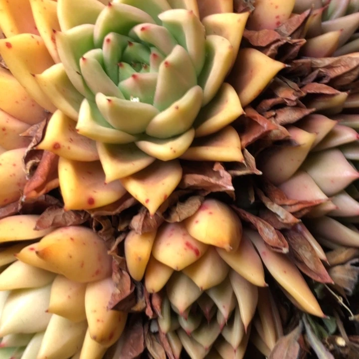 31//////////////////