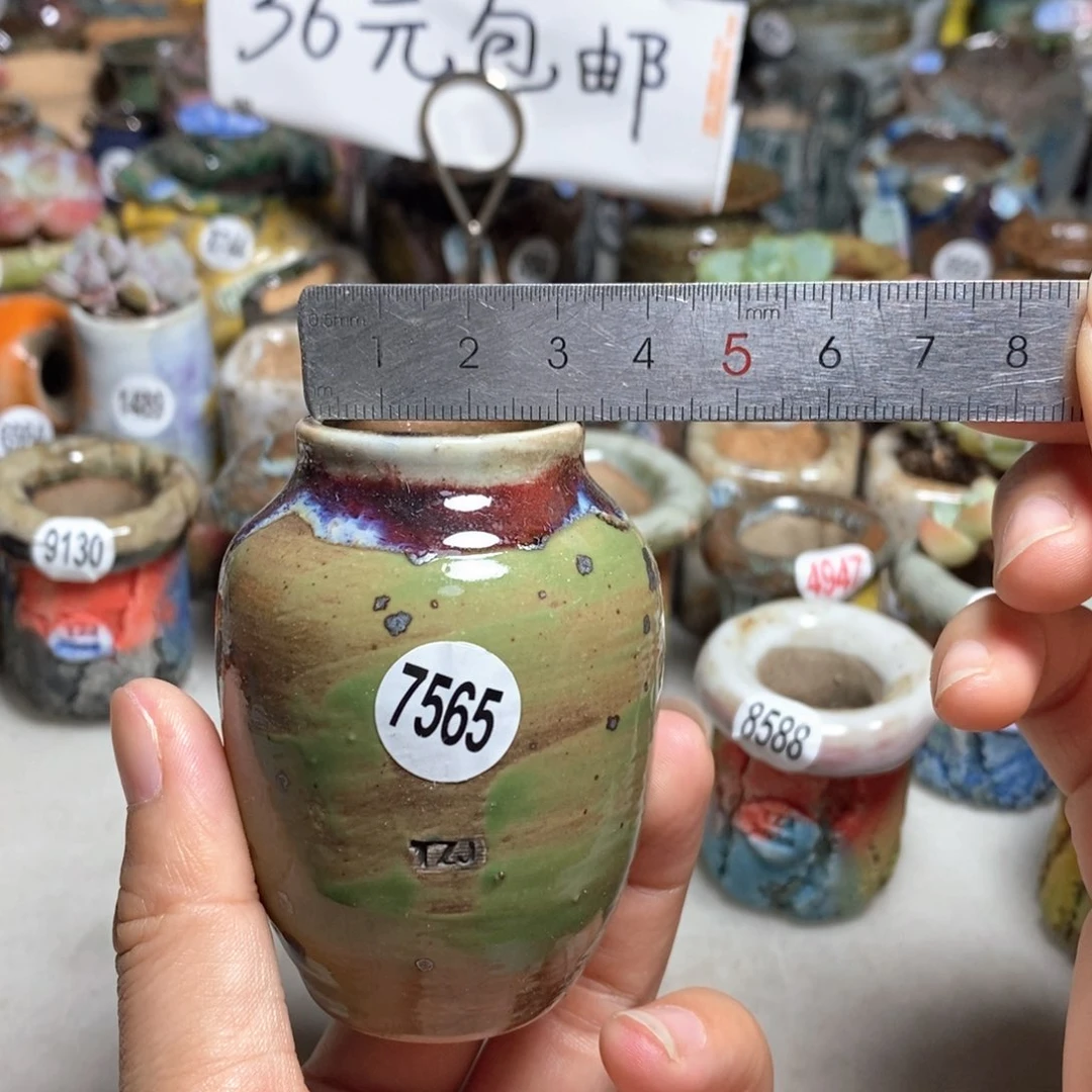 拍5送一个小礼物