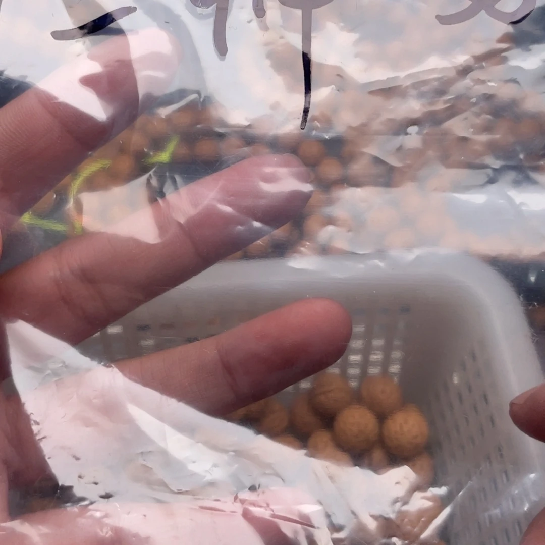 【闪购商品】莪*散子批发40米