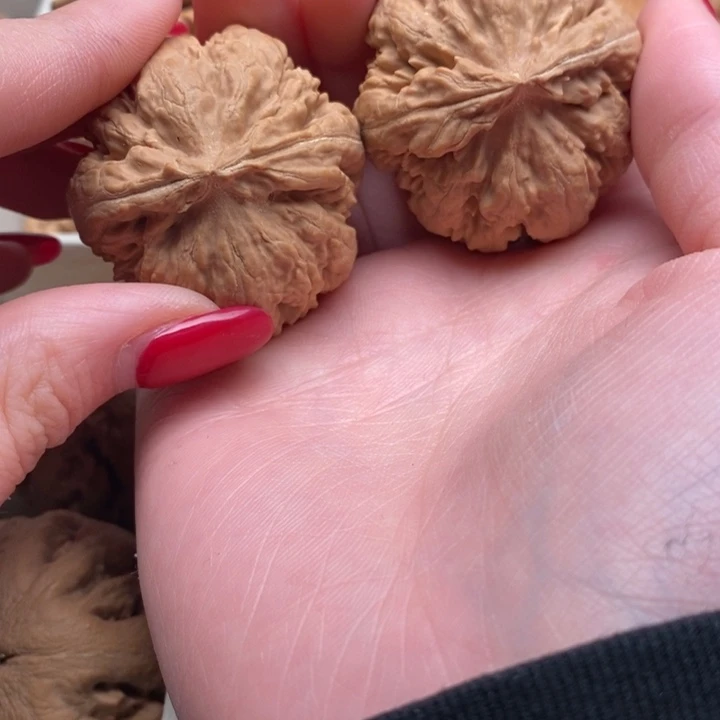 ✞***✞霸王龙全品无修一刀没动