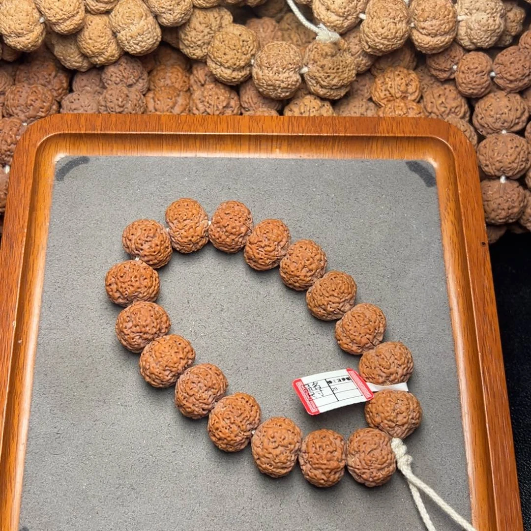 菩提1号尼泊尔大金刚20五星蜂王菠萝蜜