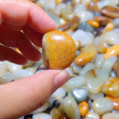 和田玉（子料）未镶嵌颈饰11.6克