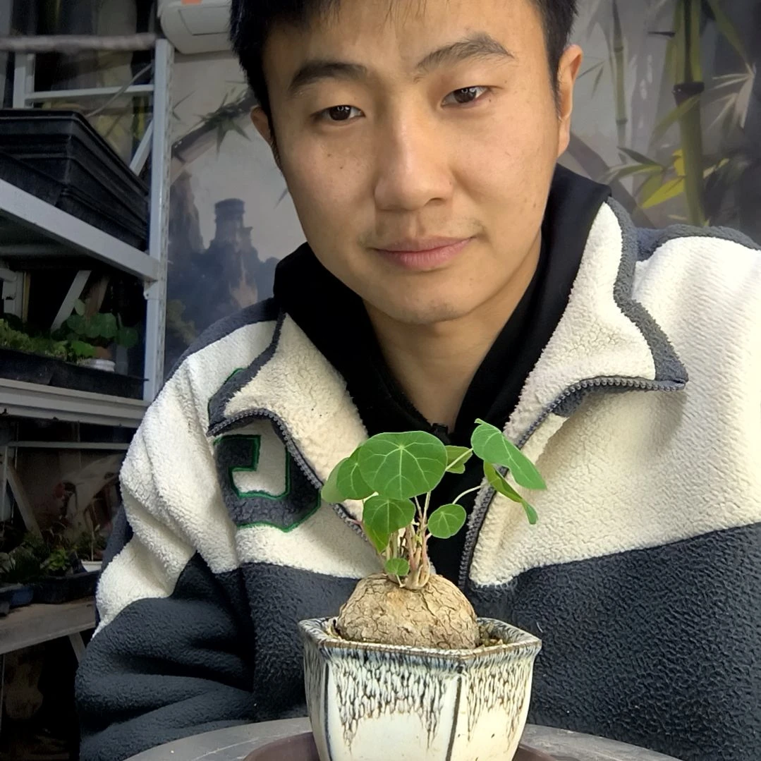 ʚ***ɞ中青园艺一物一拍181