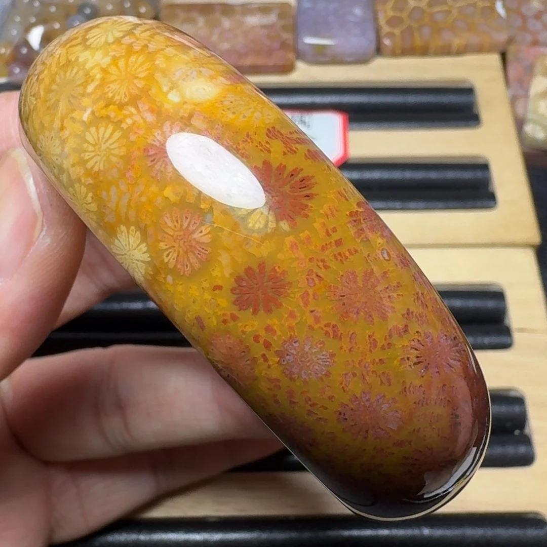 硅化玉纯天然色有机玉石未镶嵌56.7圈口