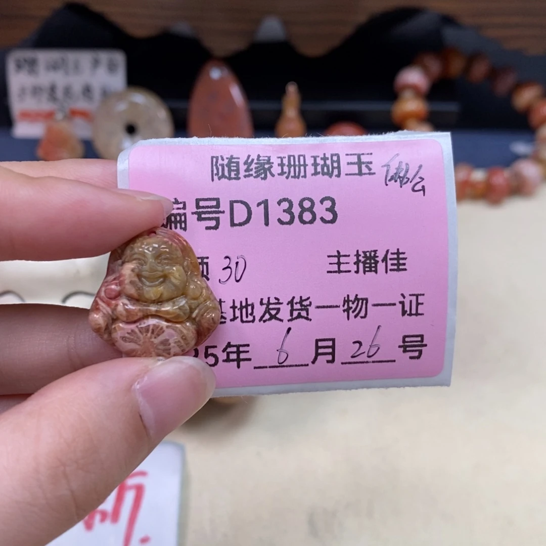 硅化珊瑚（珊瑚玉）D1383未镶嵌ℳ****