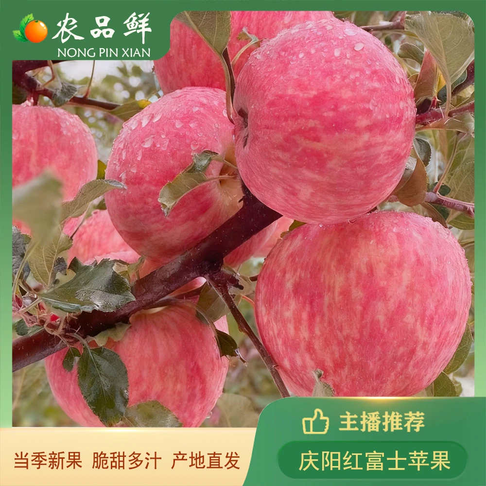 【产地直发】庆阳环县赵塬高原红富士苹果新鲜脆爽汁水充足脆甜可口