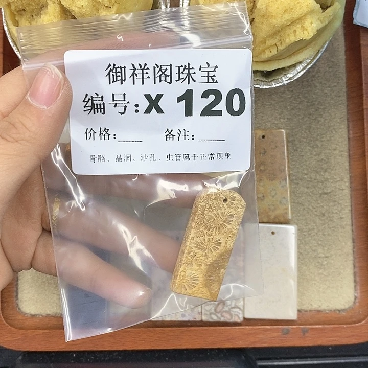 硅化珊瑚（珊瑚玉）颈饰未镶嵌耳*