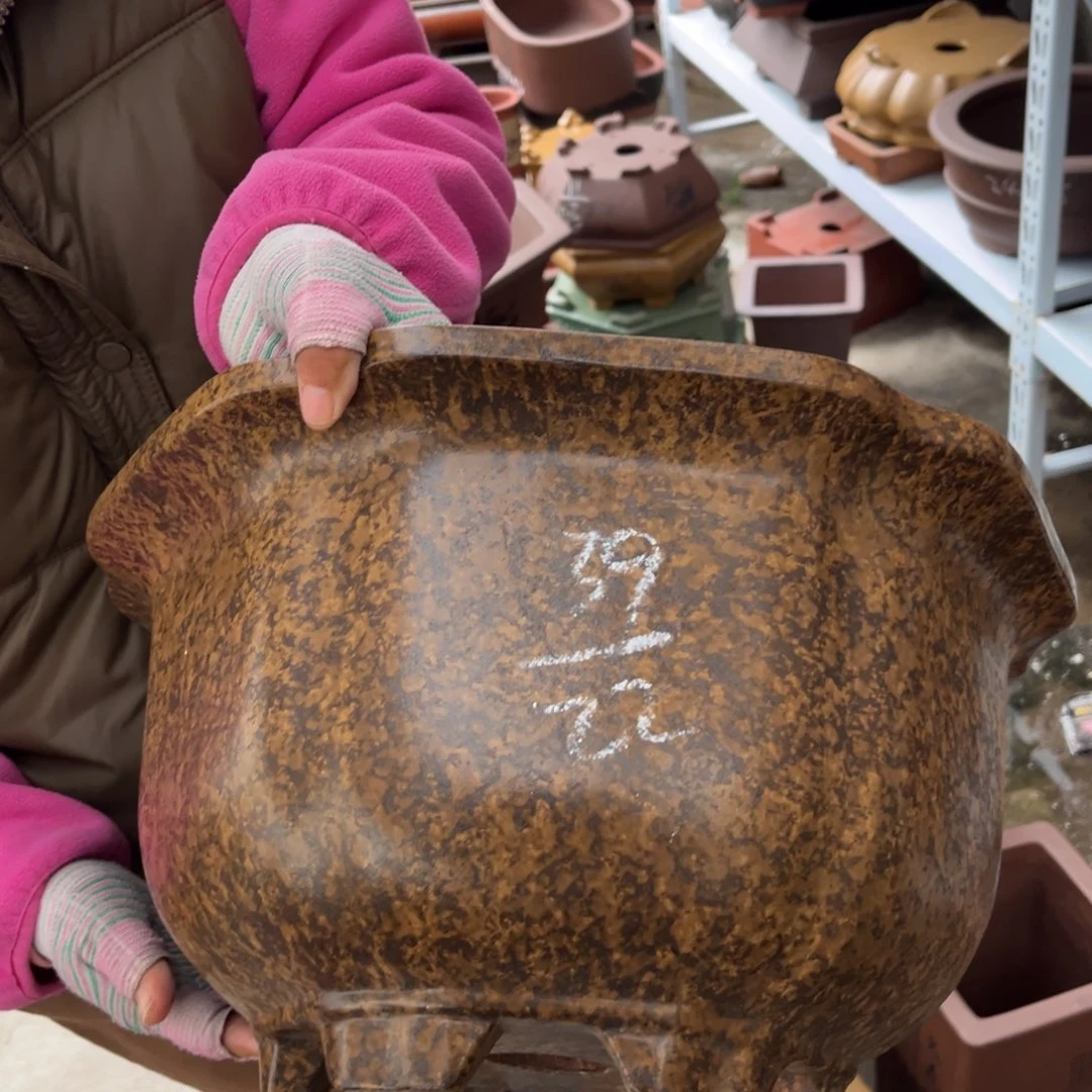 花盆紫砂盆景艺术