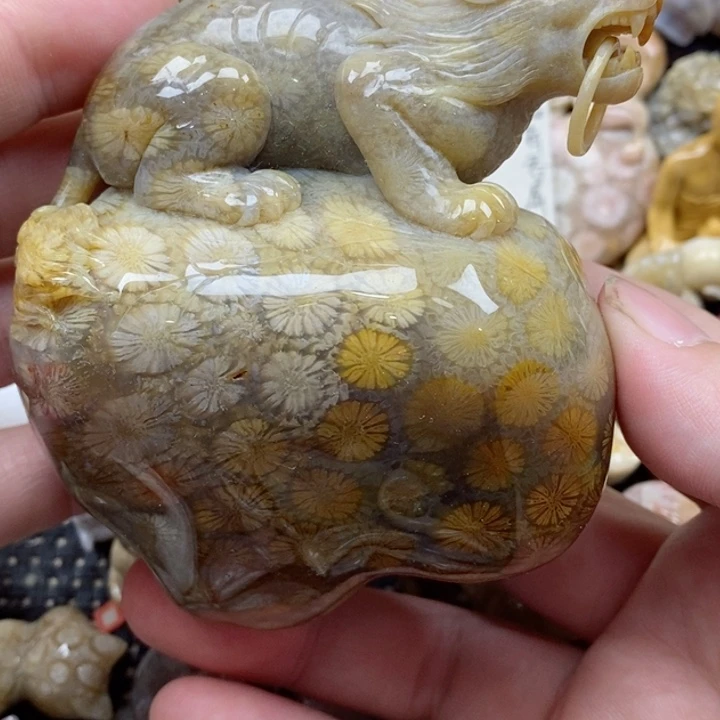 颈饰未镶嵌硅化珊瑚（珊瑚玉）