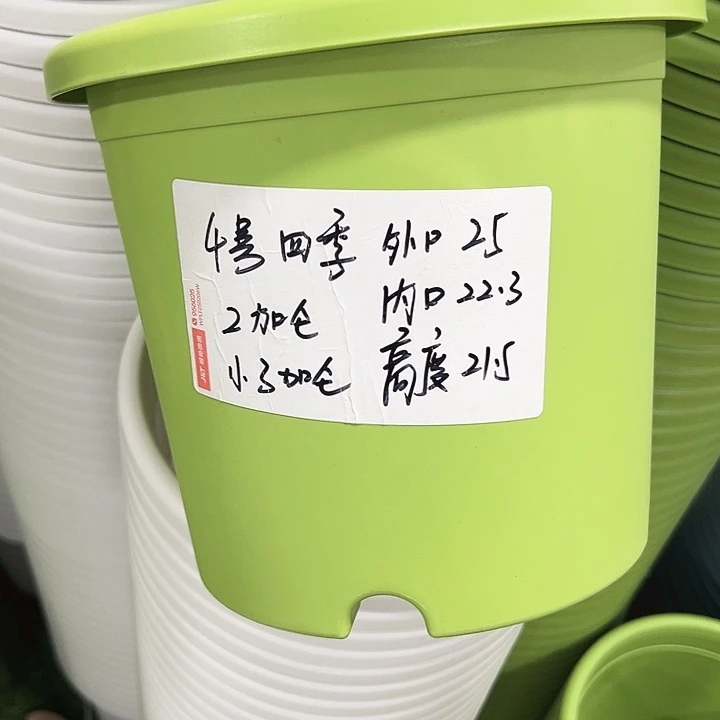特价4号四季口25高21.5白色无托8只
