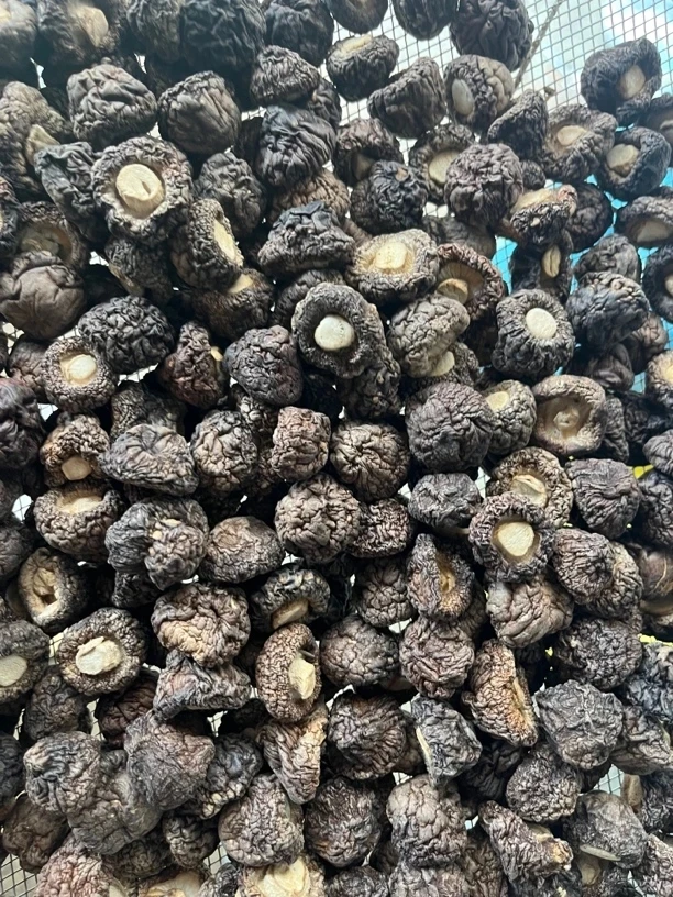 【山货香菇】煲汤好料