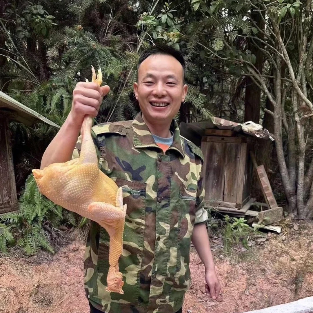 阿毛放养象洞跑山小母鸡 包冰率不含冰