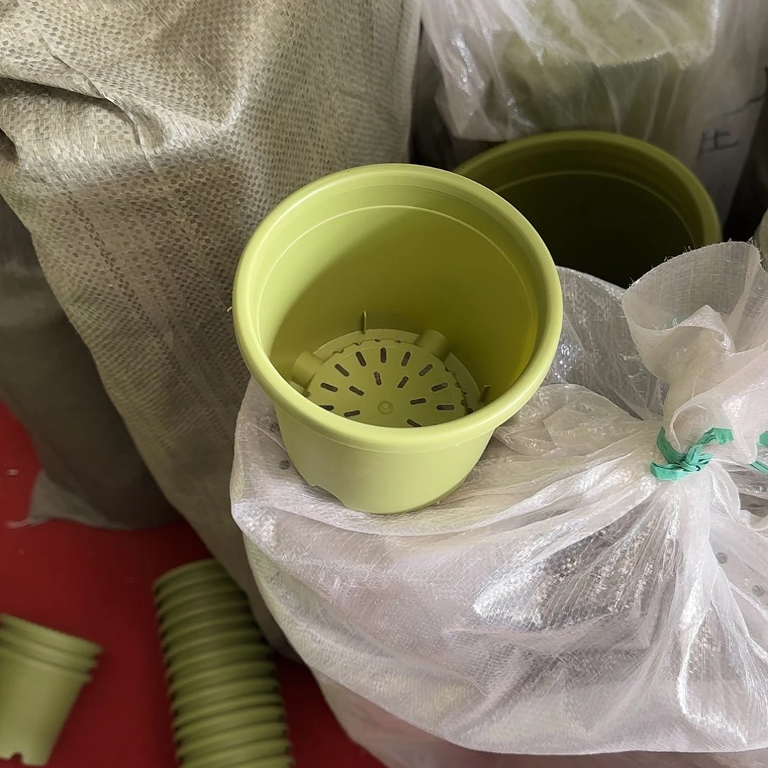 树脂微瑕1号10个无托，果绿