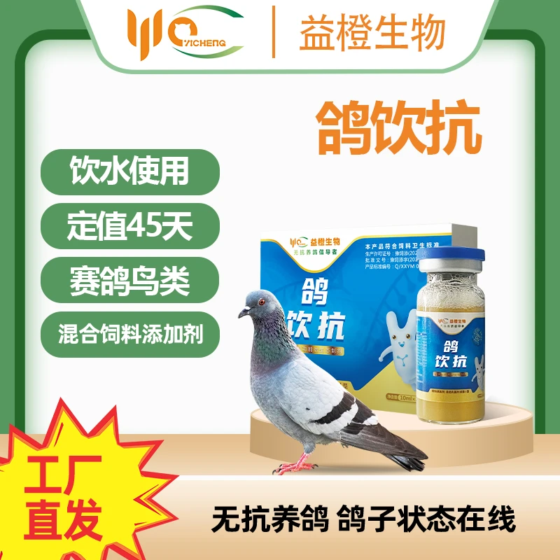 益橙鸽饮抗赛鸽种鸽幼鸽观赏鸽鸽子禽类用公棚养殖常备