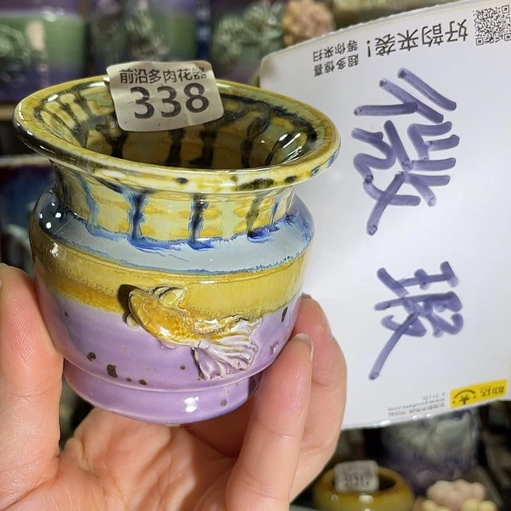 狼盆内口径5高度8