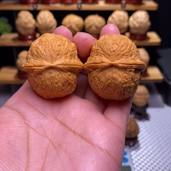 木质类云铁金丝绣球6号