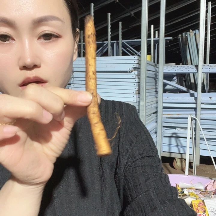 当前无花栽培后可以开花鲑鱼荣耀根