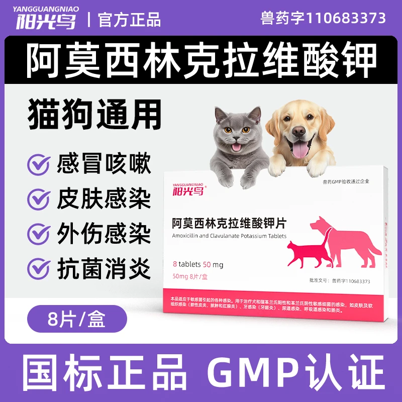 速诺消炎片阿莫西林克拉维酸钾片猫狗打喷嚏咳嗽流鼻涕猫鼻支