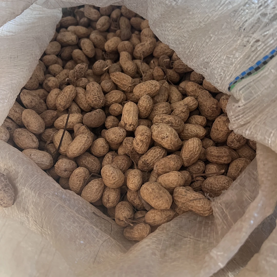 「真爱助农」丰城农村香甜可口水果花生