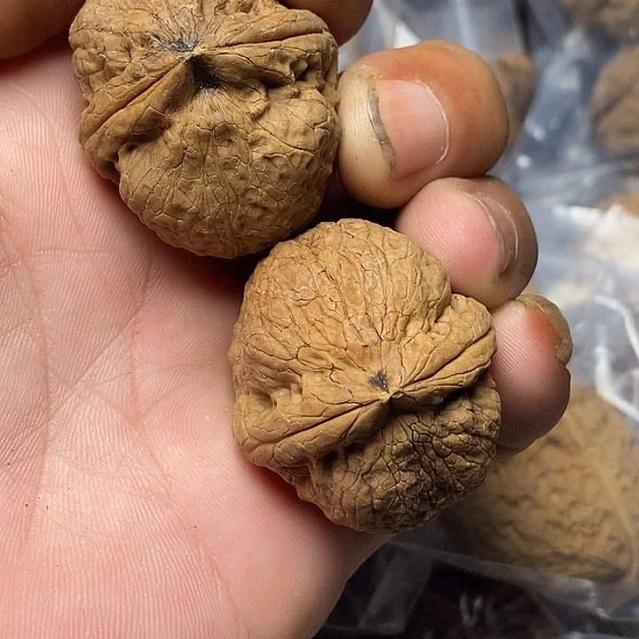 把件文玩核桃云南铁核桃70号37mm