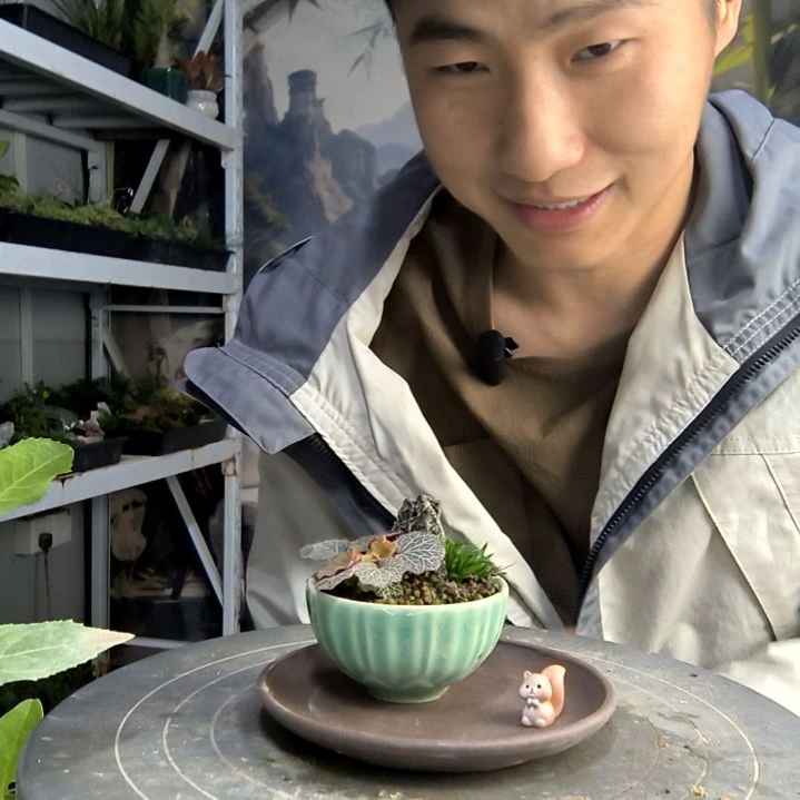 简中青园艺一物一拍101