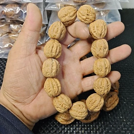 木质类纯野生山核桃      19