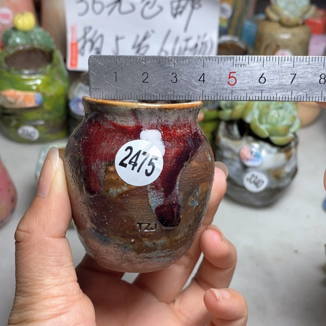 拍5送一个小礼物