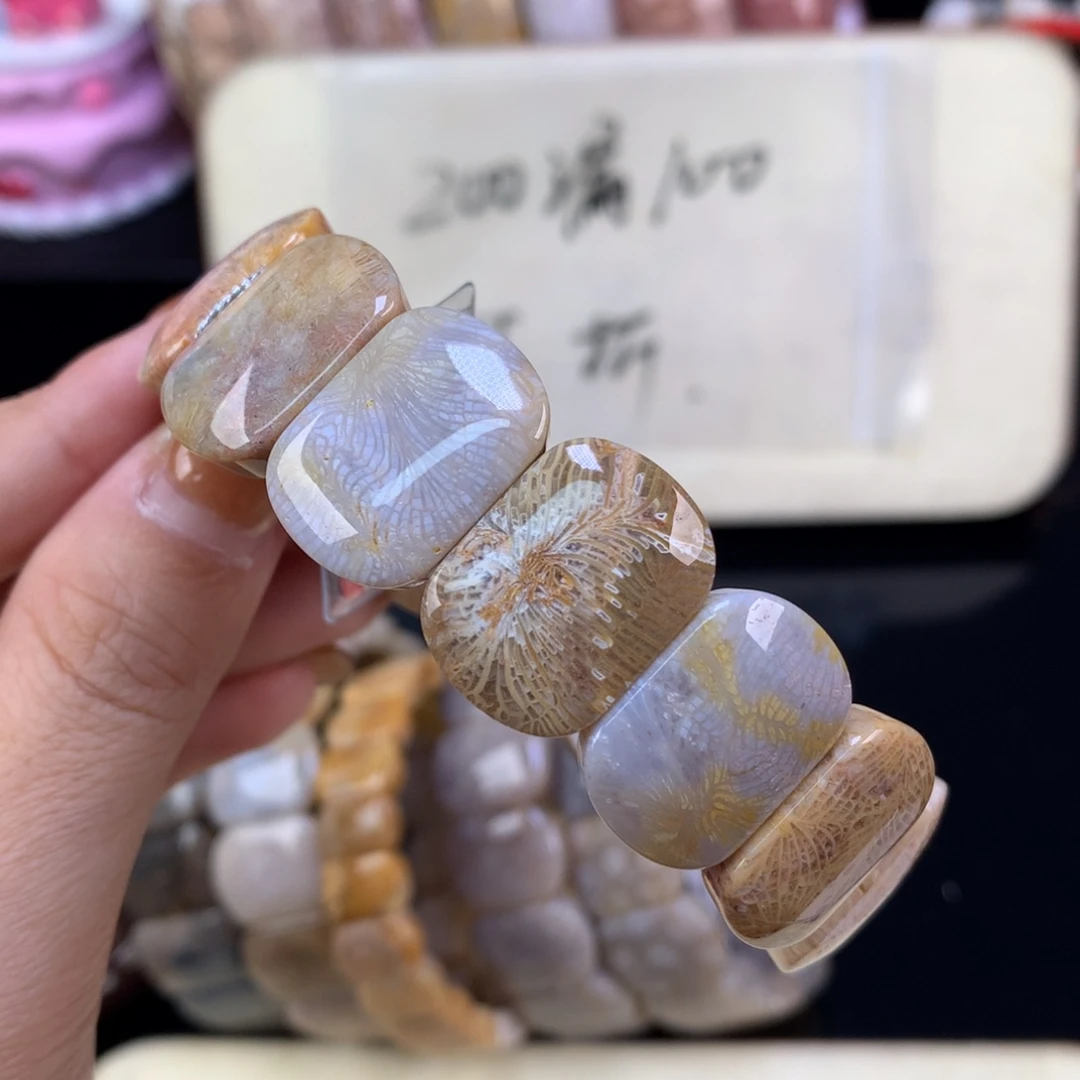 硅化珊瑚（珊瑚玉）未镶嵌吊坠(赠链)漏五折精美手牌（51号）