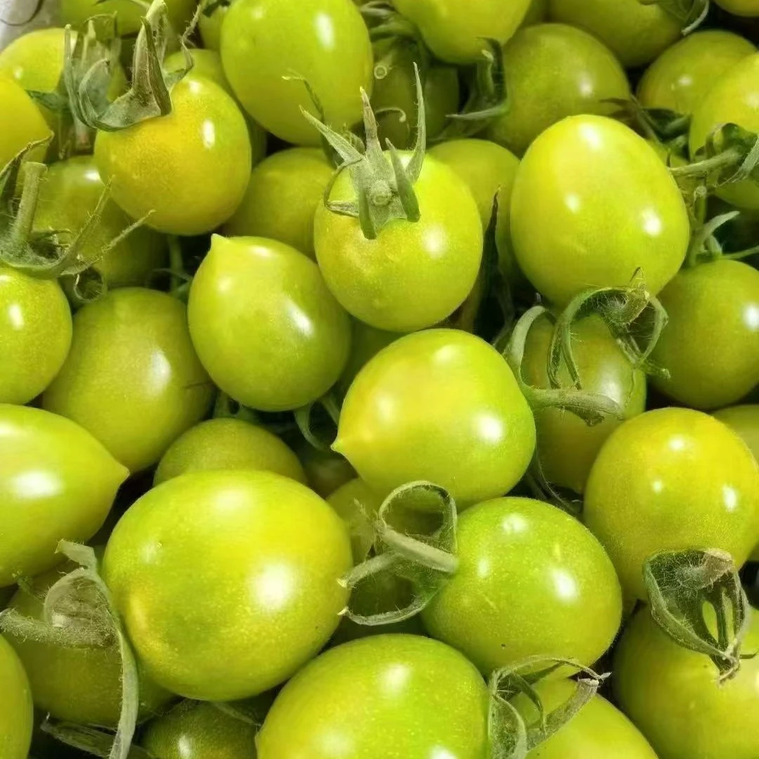 清甜小番茄，新鲜清甜爆汁！熟度高个别会有裂口，口感更甜介意勿拍