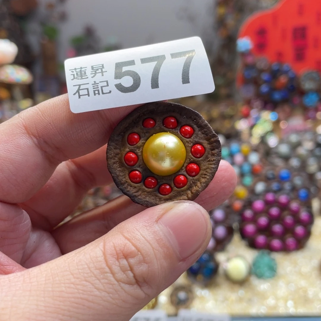 核桃木/黑胡桃（胡桃木）577