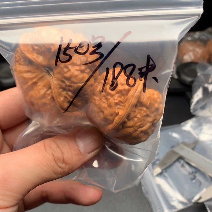 文玩核桃把件啊*45哇哇