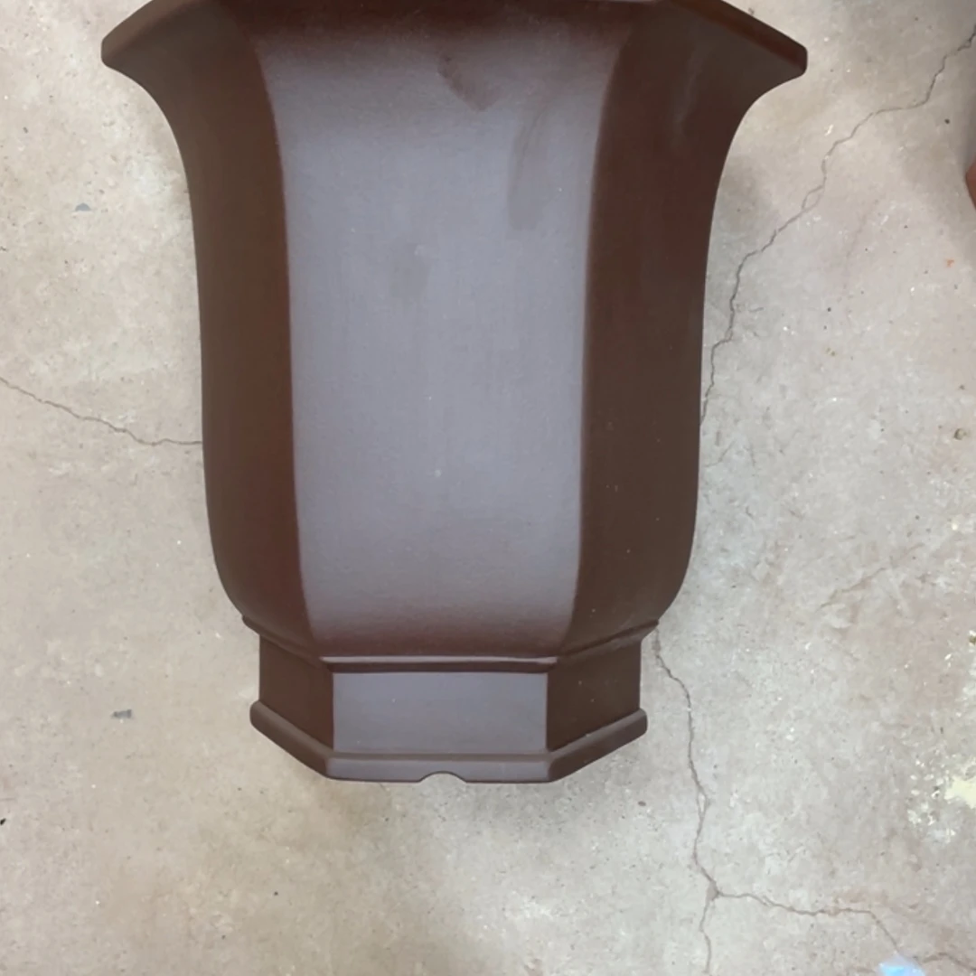 【闪购商品】紫砂花盆木*歌兰花643464554576767675