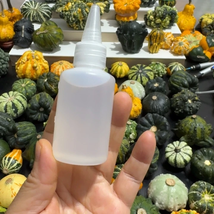 给**泡墨西哥七彩葫芦保养油