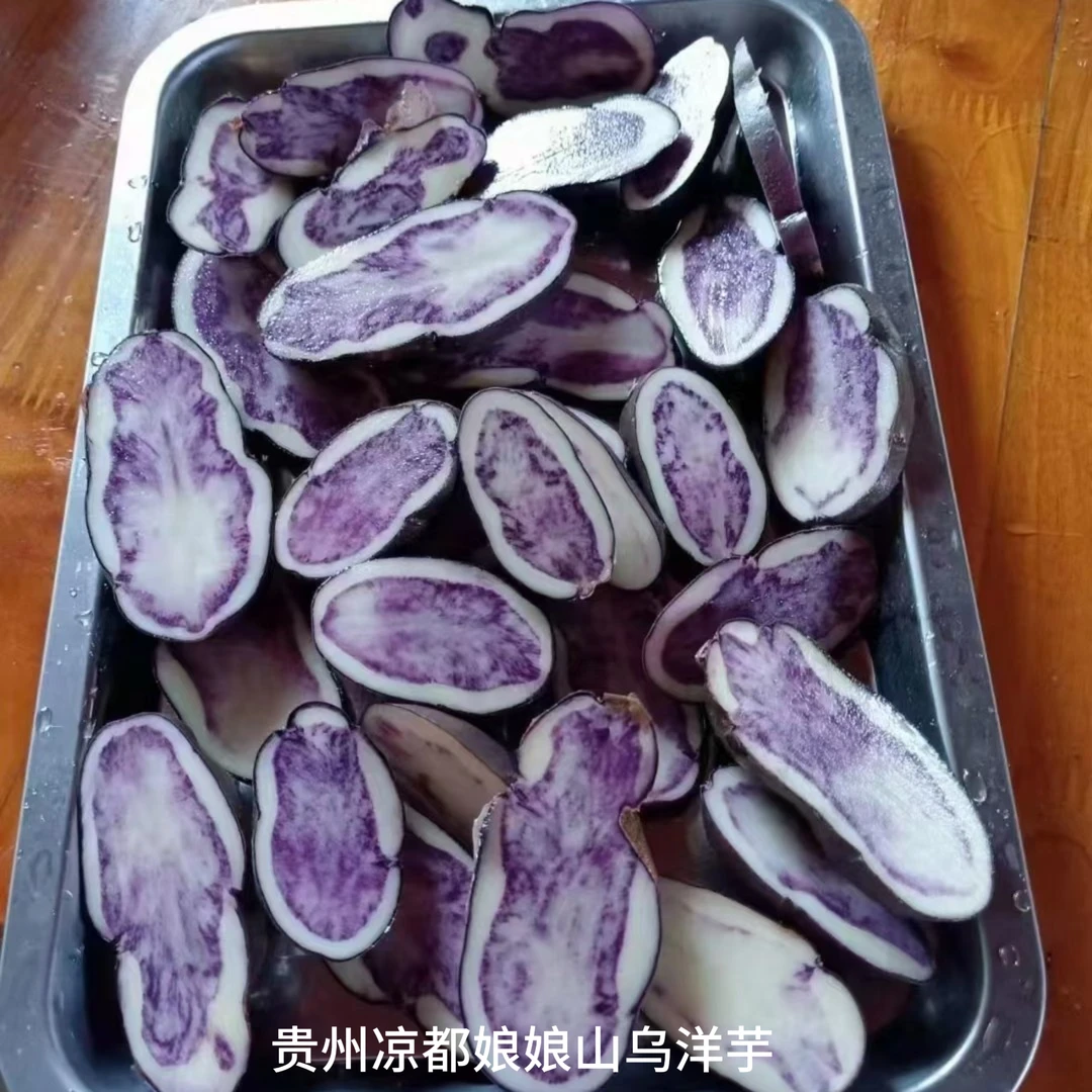 贵州高山七彩土豆紫色，紫土豆，紫，老品种，贵州洋芋