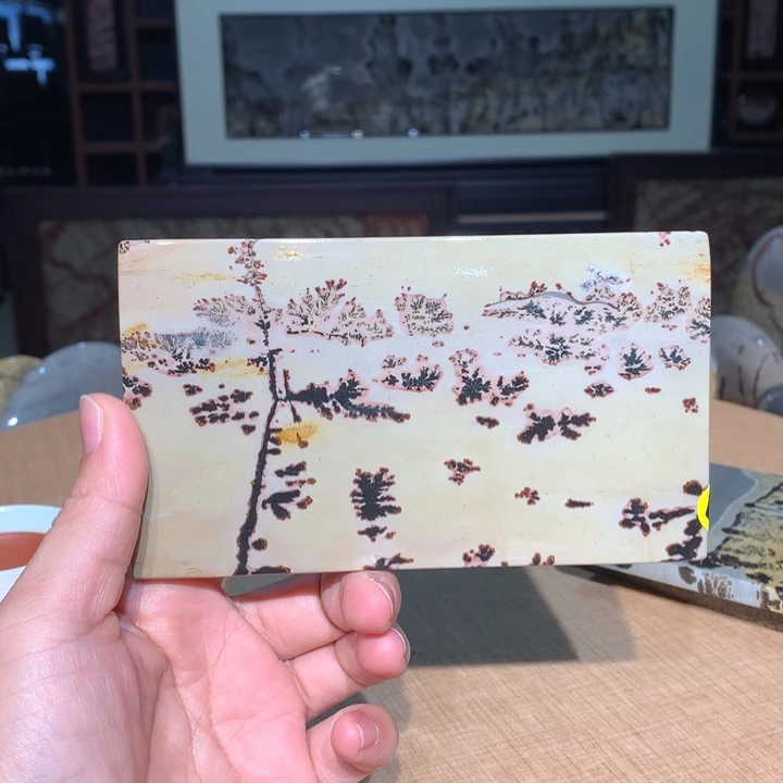 ，广西国画石摆件，收藏观赏