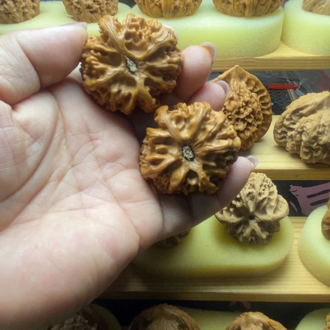 42苹果园微微修新果