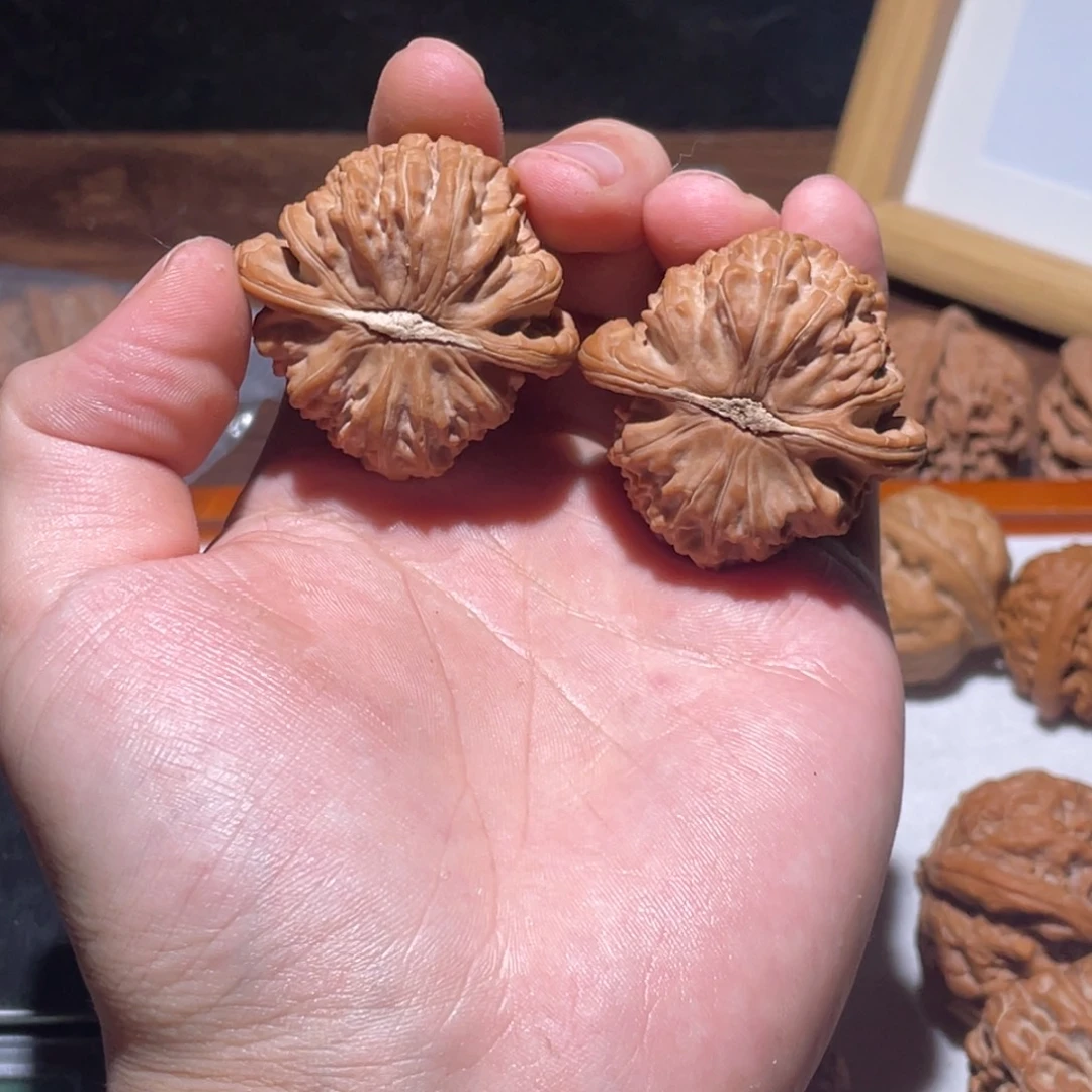 禧***号把件文玩核桃43全品白狮子