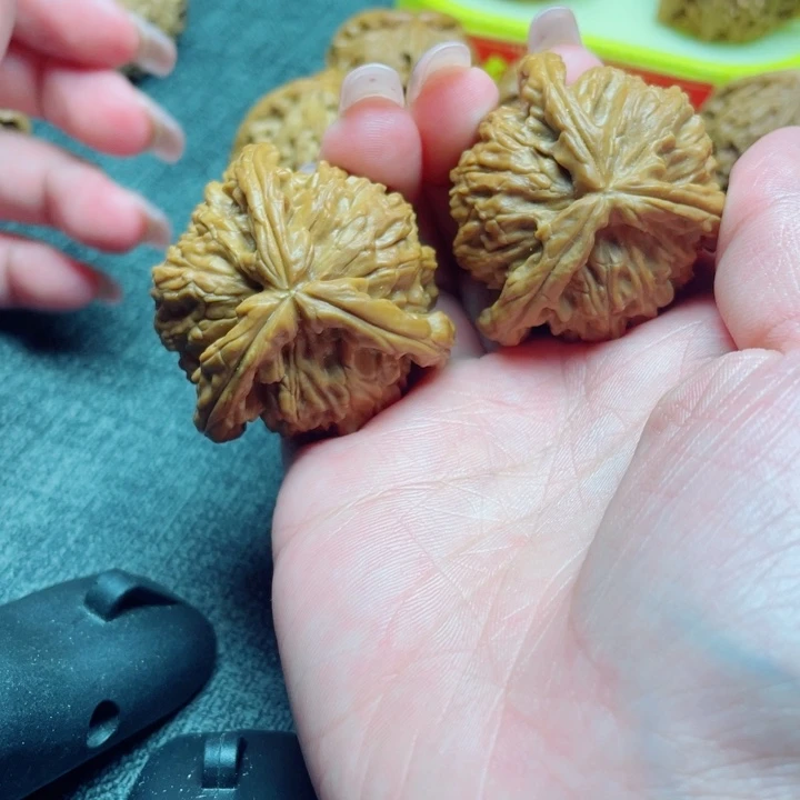 手工三棱白狮子三棱
