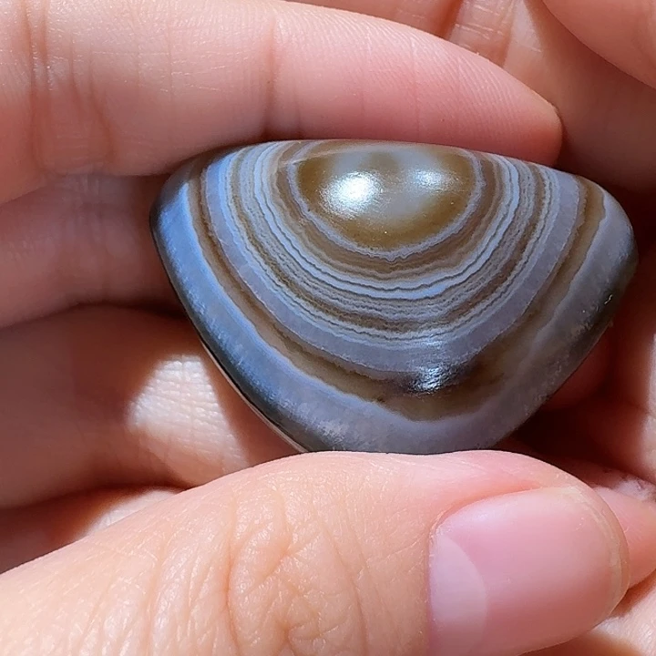 潘***涛挂件挂件挂件挂件